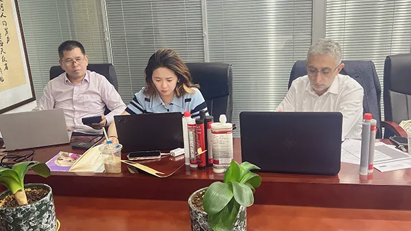 Technical Consultation and Support
