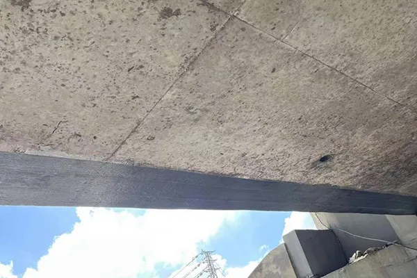 Carbon Fiber Reinforcements